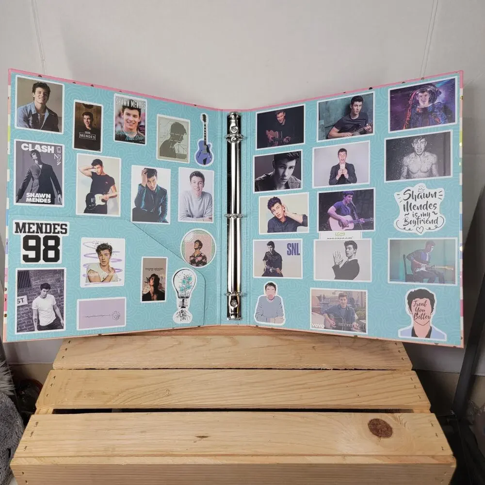 Shawn Mendez Stickered 1.5